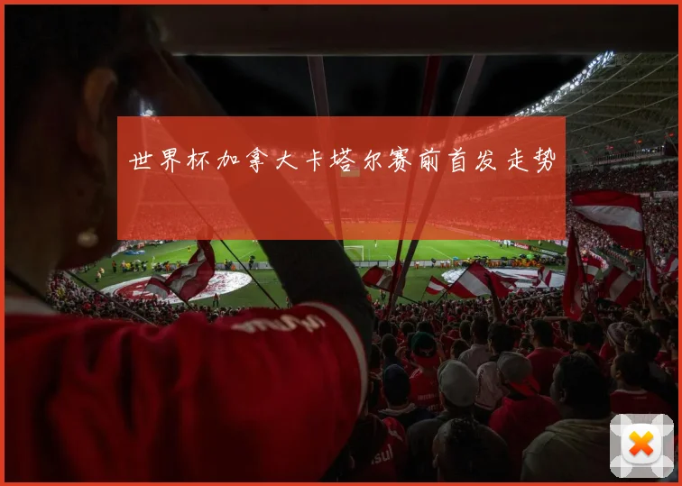 世界杯加拿大卡塔尔赛前首发走势