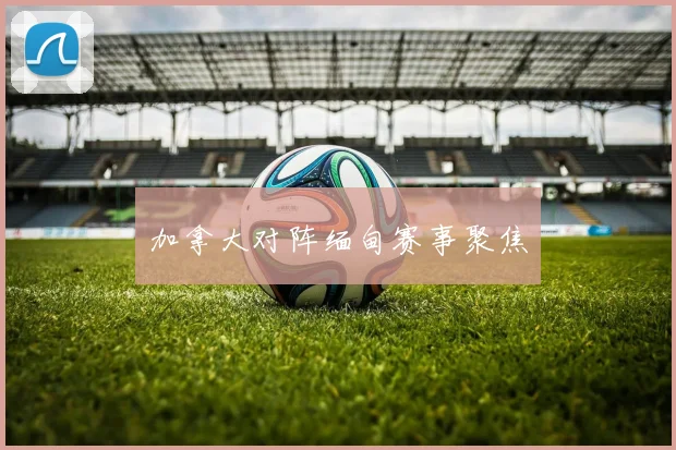 加拿大对阵缅甸赛事聚焦