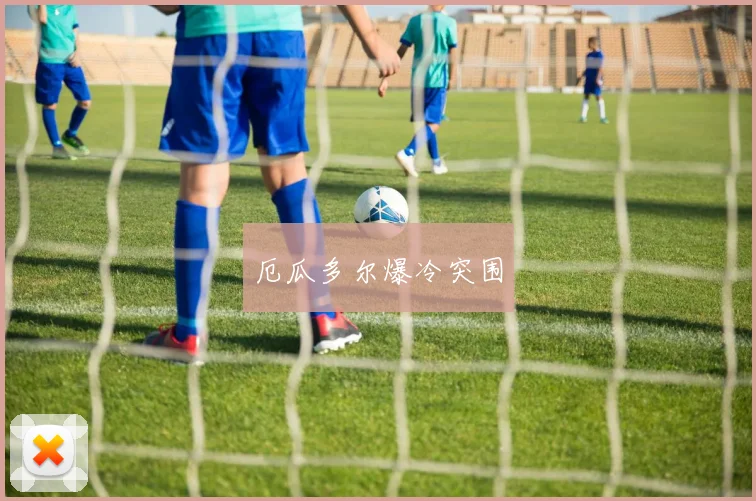 厄瓜多尔爆冷突围