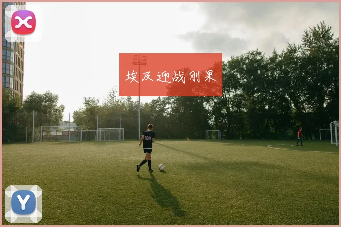 埃及迎战刚果