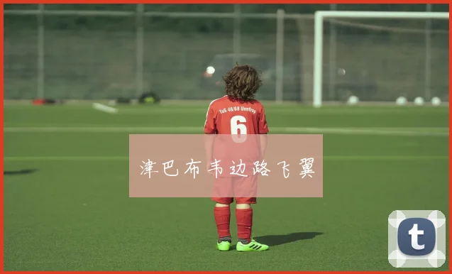 津巴布韦边路飞翼