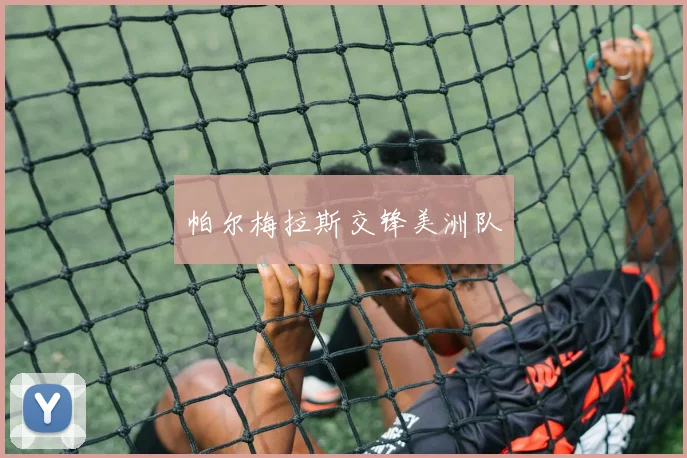 帕尔梅拉斯交锋美洲队