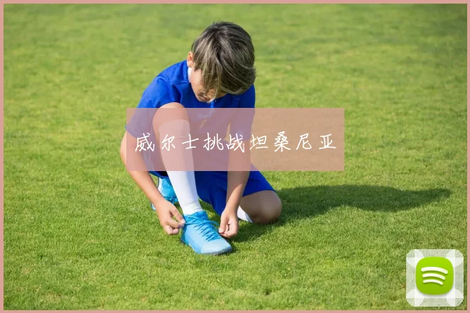 威尔士挑战坦桑尼亚