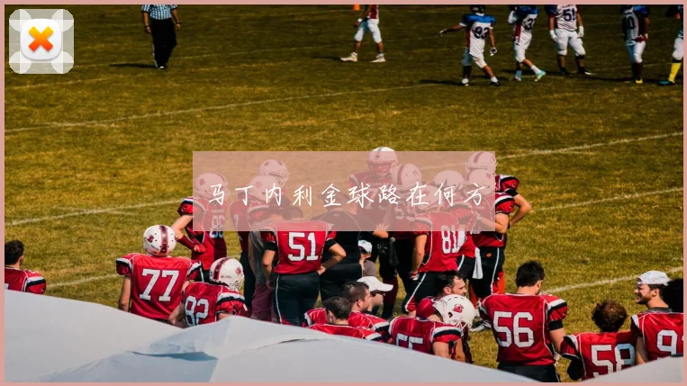 马丁内利金球路在何方