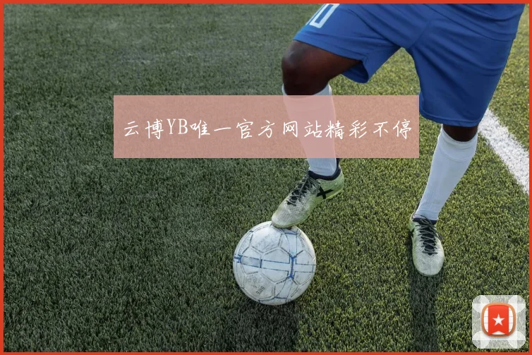 云博YB唯一官方网站精彩不停