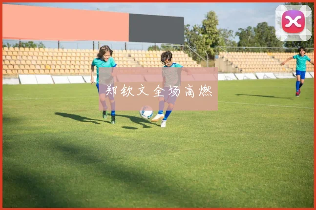 郑钦文全场高燃