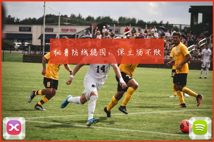 秘鲁防线稳固，保主场不败