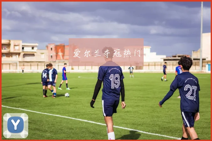 爱尔兰夺冠热门