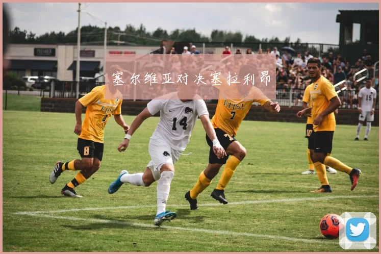 塞尔维亚对决塞拉利昂