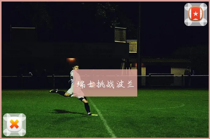 瑞士挑战波兰