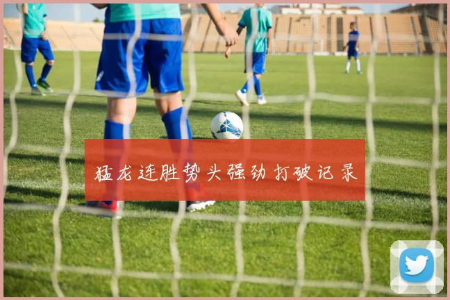 猛龙连胜势头强劲打破记录