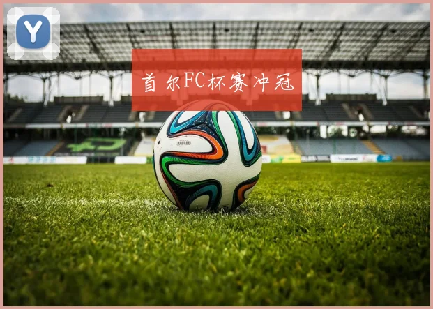首尔FC杯赛冲冠