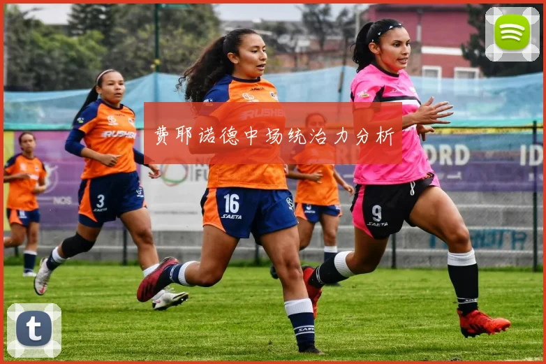 费耶诺德中场统治力分析