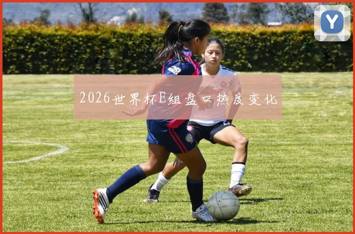 2026世界杯E组盘口热度变化