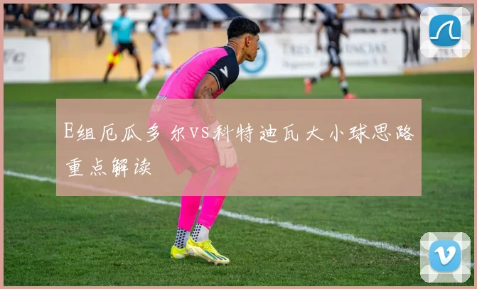 E组厄瓜多尔vs科特迪瓦大小球思路重点解读